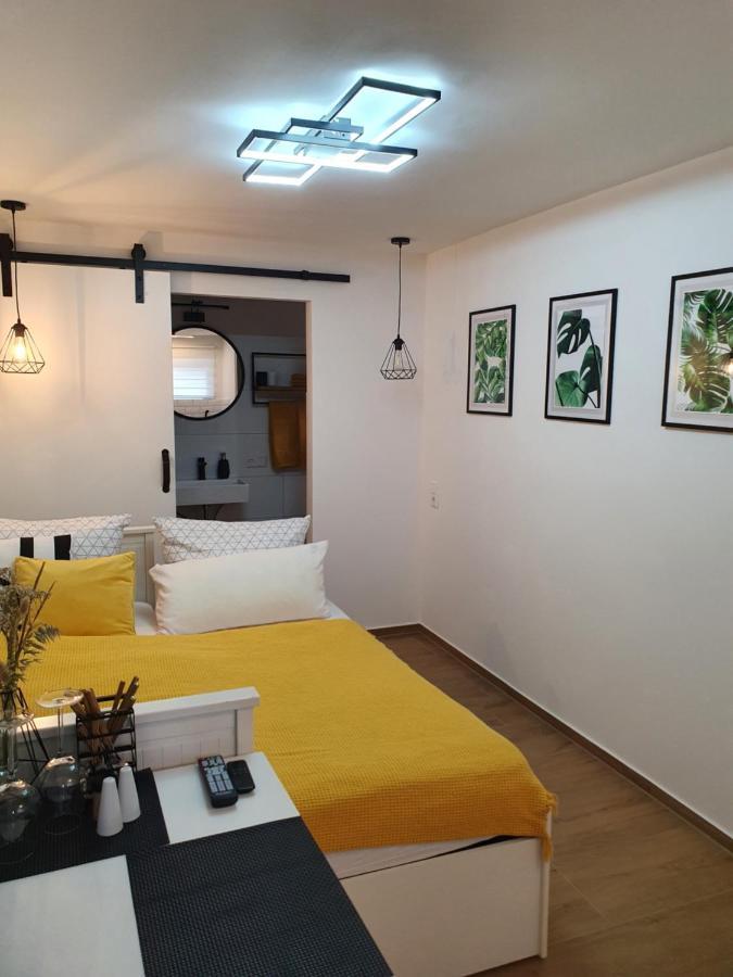 Studio-Apartment Kontaktloser Check-In Meckenbeuren Exteriér fotografie